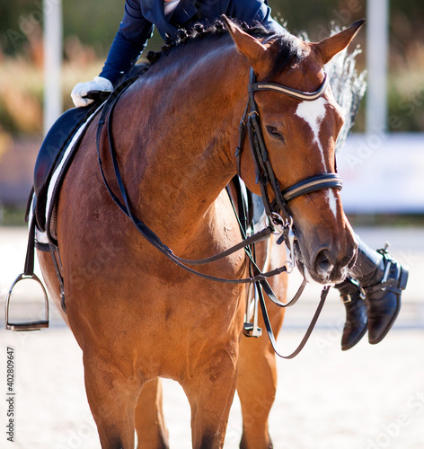 A red sports horse with a bridle and a rider jumping on a horse with his foot in a boot with a spur in a stirrup.
