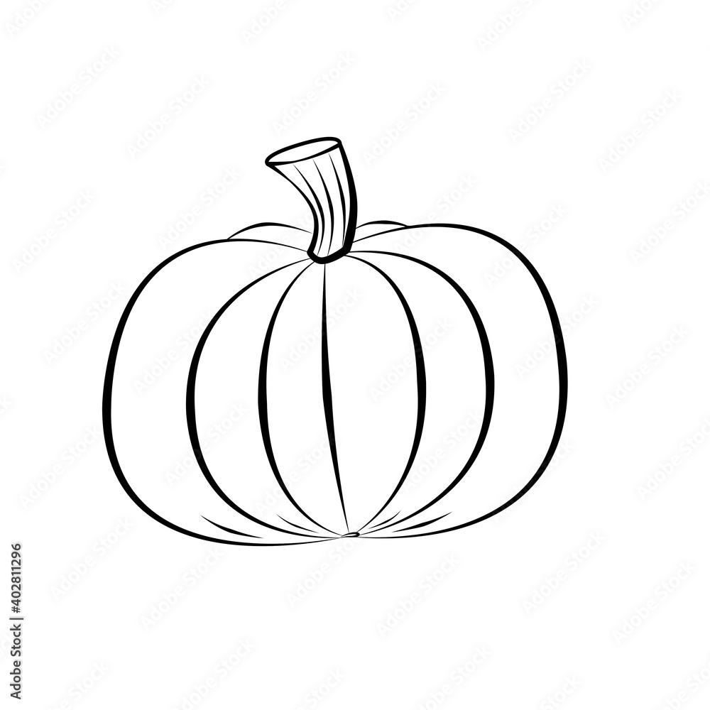One round pumpkin on white background, nature, halloween, vegetable. Outline drawing. Black contour. One round pumpkin on white background, nature, halloween, vegetable. Outline drawing. Black contour.