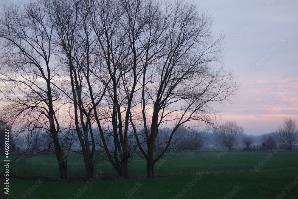 Baumgruppe vor Feldern und Wiesen bei Grefrath Oedt am Niederrhein im Winter bei Sonnenuntergang Baumgruppe vor Feldern und Wiesen bei Grefrath Oedt am Niederrhein im Winter bei Sonnenuntergang