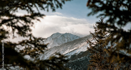 Fototapeta Naklejka Na Ścianę i Meble -  View of the peak Wielka Koszysta in the Polish Tatra Mountains - Blurred conifers in the foreground