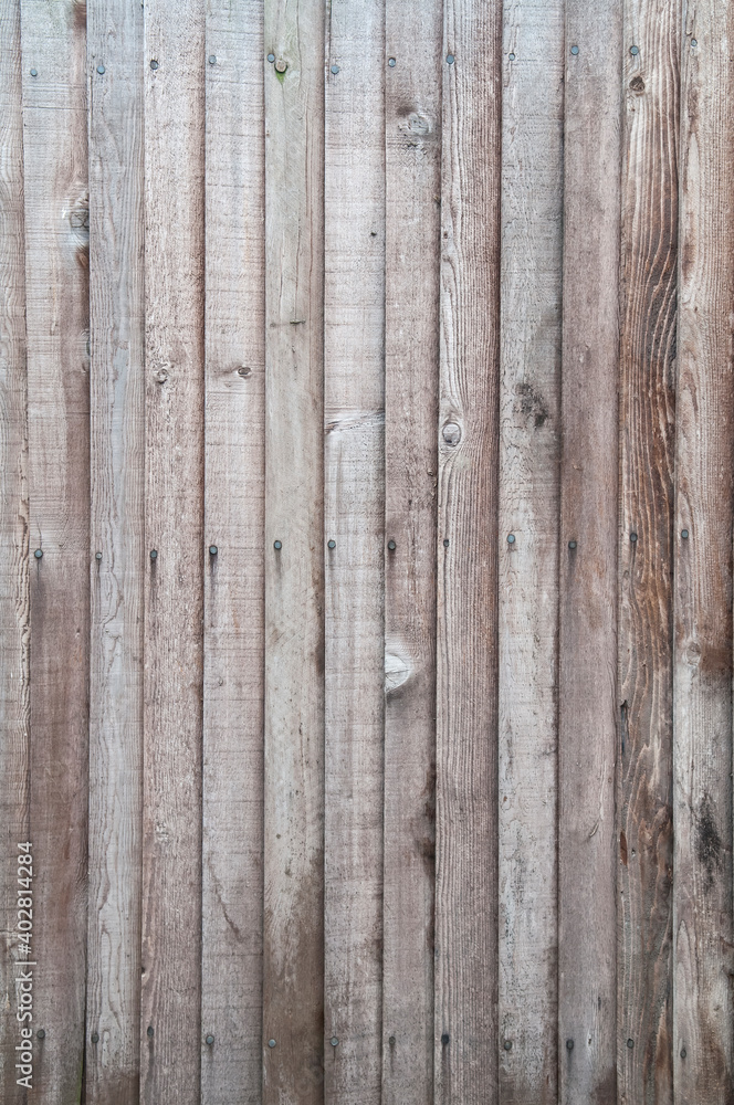 Fototapeta premium Aged brown wooden fence texture. Old English textured vertical wood wall surface background pattern with mossy planks and nails
