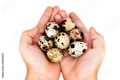 Hands holding quail eggs on a white background. Healthy and balanced food