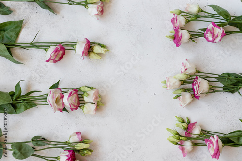 frame of summer colorful flowers on a white concrete background. Nature border. top view  flat lay  copy space