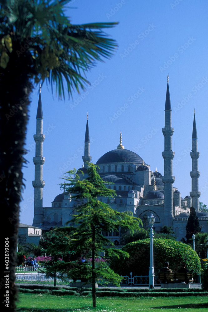 Fototapeta premium TURKEY ISTANBUL BLUE MOSQUE