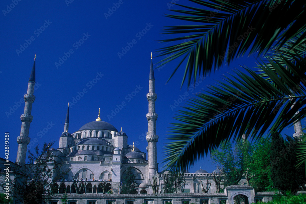 Naklejka premium TURKEY ISTANBUL BLUE MOSQUE