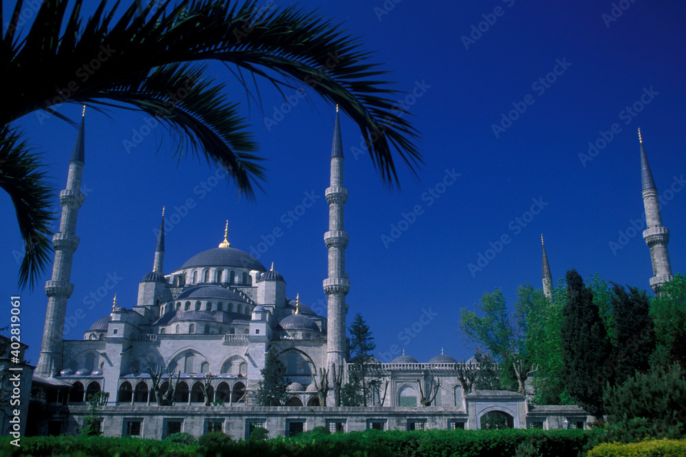 Obraz premium TURKEY ISTANBUL BLUE MOSQUE