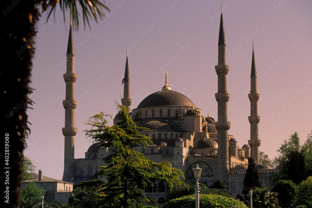Obraz premium TURKEY ISTANBUL BLUE MOSQUE