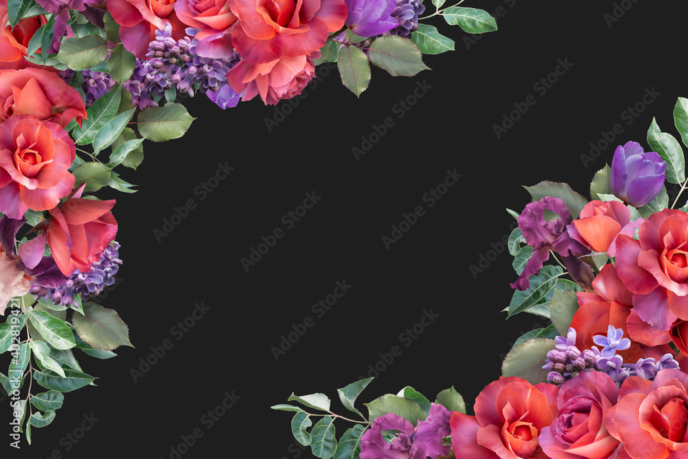 Red roses and purple flowers isolated on dark background. Floral banner, header with copy space. Natural flowers wallpaper or greeting card.