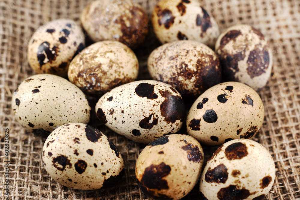 Quail eggs lie on a piece of material made of burlap close-up. Healthy and balanced food Quail eggs lie on a piece of material made of burlap close-up. Healthy and balanced food