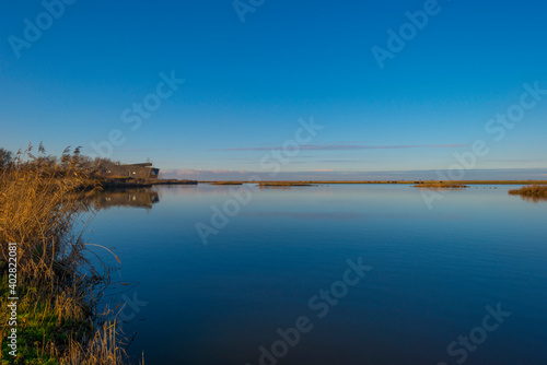 Shore of a blue lake in wetland under a bright blue sky  Almere  Flevoland  The Netherlands  January 1  2021