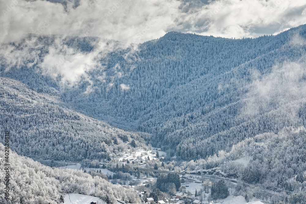 forêt des Vosges sous la neige