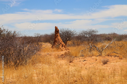 Fototapeta Naklejka Na Ścianę i Meble -  termite hill - Namibia Africa
