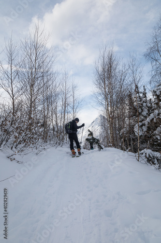 Person on a path in forest doing ski touring