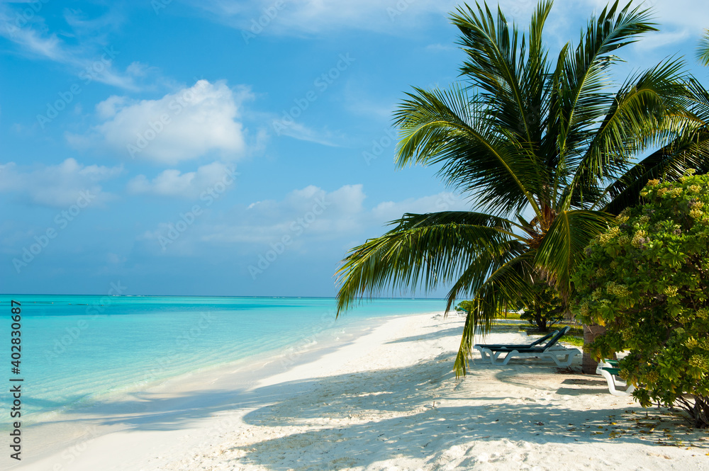 Beautiful view on the beach. White sand and palm trees and blue ocean and chaise longue Beautiful view on the beach. White sand and palm trees and blue ocean and chaise longue