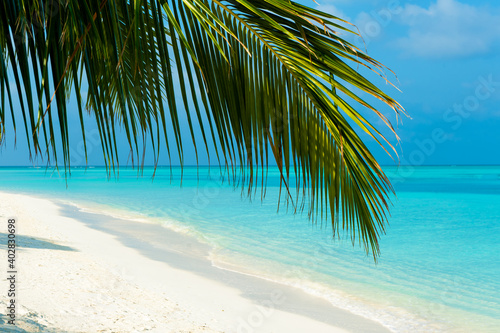 Beautiful view on the beach on Maldive Island. White sand and palm trees and turquoise ocean