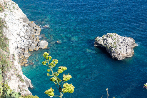 emerald sea off the coast of capri photo