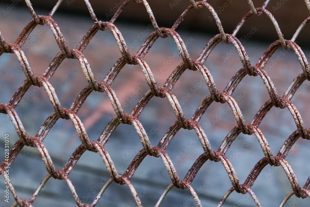 Fototapeta premium Metal rusty security fence on blurred background