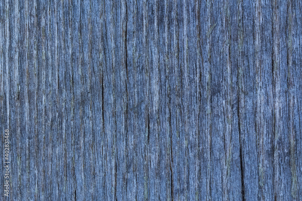 Gray blue wooden background with vertical boards Gray blue wooden background with vertical boards