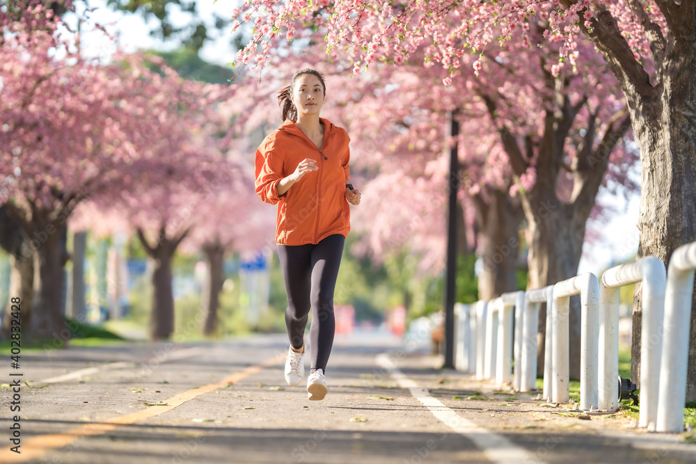 Fototapeta premium Asian woman exercise in the morning She is running at Sakura Park.