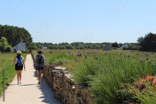 Ruta en Carnac