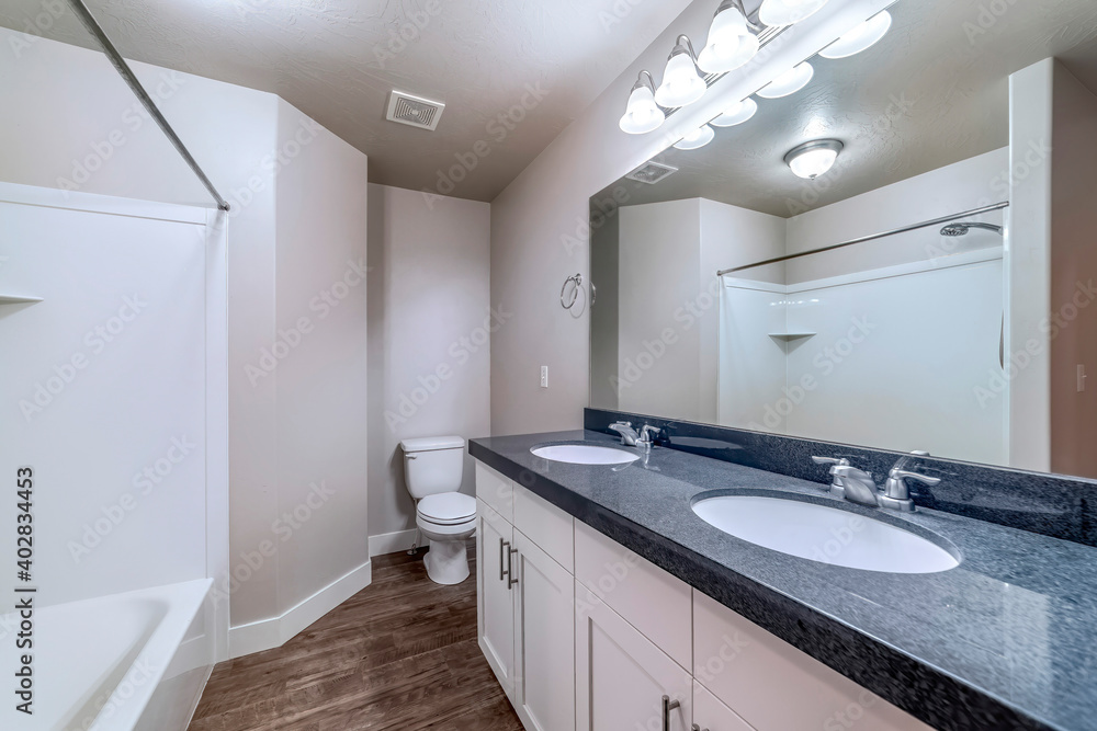 Bathroom with bathtub in front of vanity area with double oval sink and mirror Bathroom with bathtub in front of vanity area with double oval sink and mirror