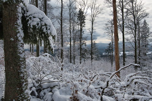 Vászonkép Winterwonderland in den Vogesen nahe Welschbruch
