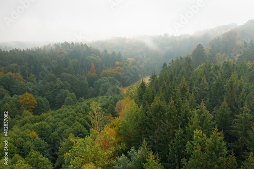 Colorful autumn forest in clouds. Aerial view.