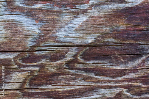 Old wooden background wirth gray brown stripes photo