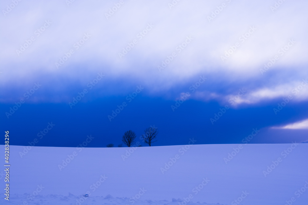 青い冬空と雪原に立つ冬木立
