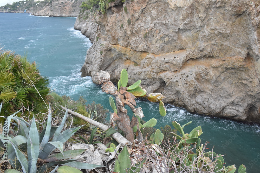 Scorcio della scogliera di San Cataldo,comune di Terrasini, Palermo, Per molti conosciuta come