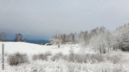 winter landscape with snow