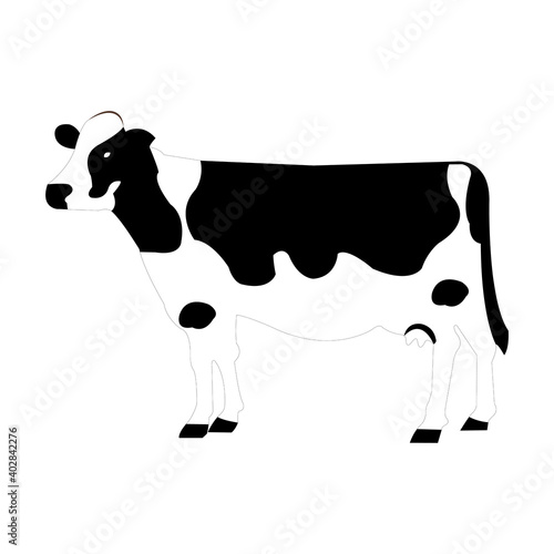Back Cow Vector Illustration Isolated on White