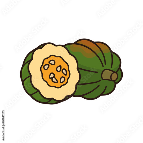 Whole and halved Acorn Squash isolated vector illustration Acorn Squash Day on September 7