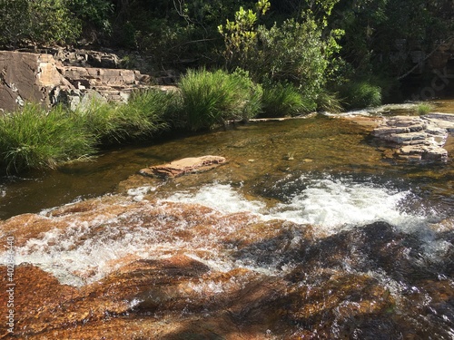 river in the forest