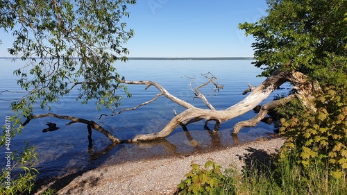 by the lake