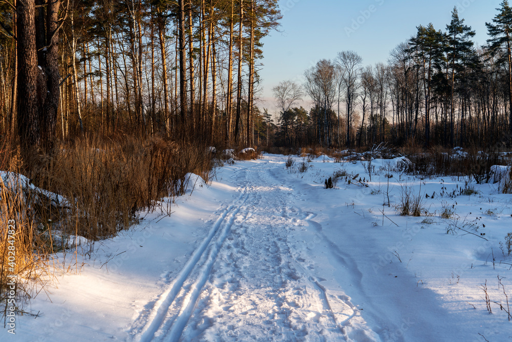 Зимняя дорога в лесу. Морозный день.