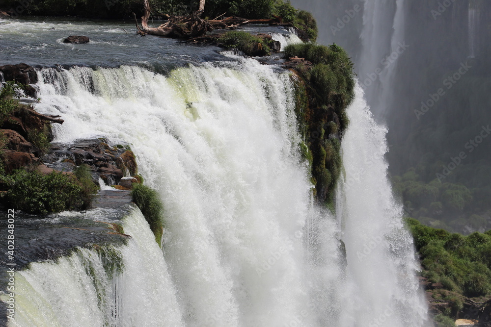Fototapeta premium waterfall in the forest
