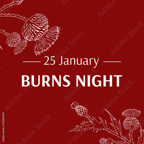 Burns night supper card. Thistle on red background. Burns Night - national holiday in Scotland. Template for invitation, poster, flyer, banner, etc.