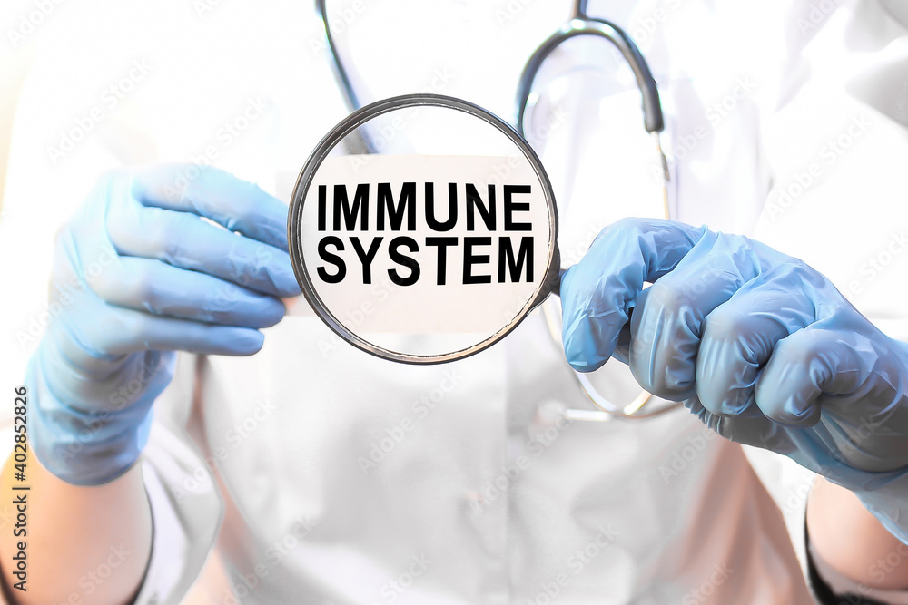 The doctor's blue - gloved hands show the word IMMUNE SYSTEM - . a gloved hand on a white background. Medical concept. the medicine The doctor's blue - gloved hands show the word IMMUNE SYSTEM - . a gloved hand on a white background. Medical concept. the medicine