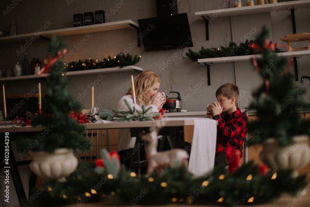 
Happy woman indoors at home with her son