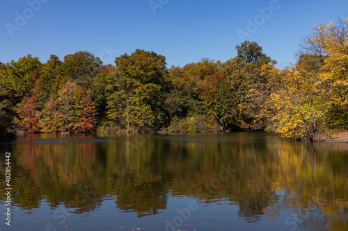 Central Park with Colorful Trees during Autumn along the Lake in New York City