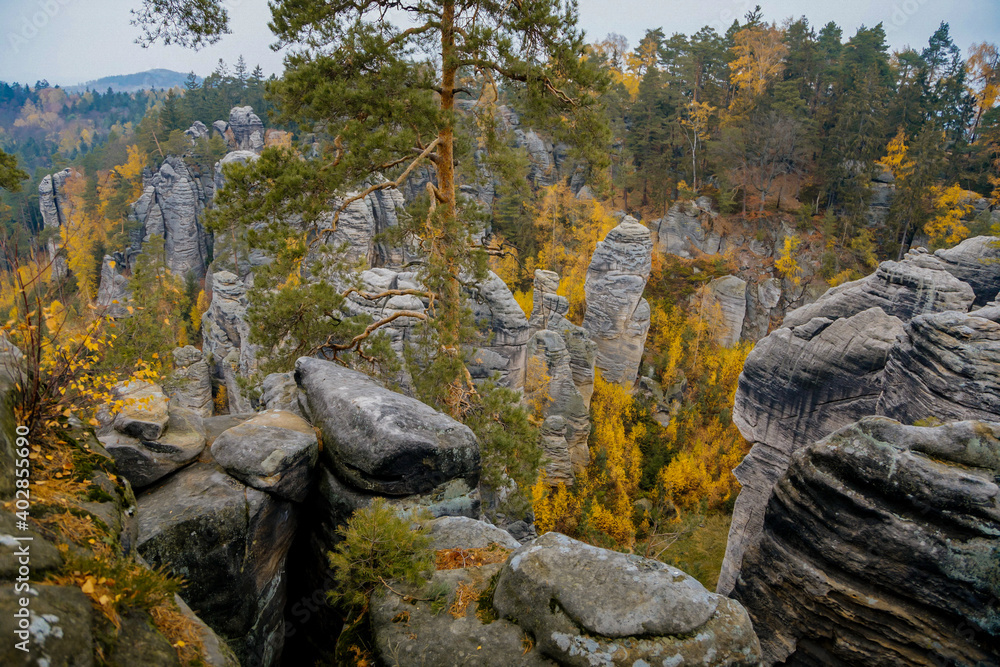 Sandstone cliffs Prachovske Skaly Prachov Rocks, Landscape with colorful trees in nature National Park Cesky Raj in autumn day, rock formation in Bohemian Paradise, Czech Republic