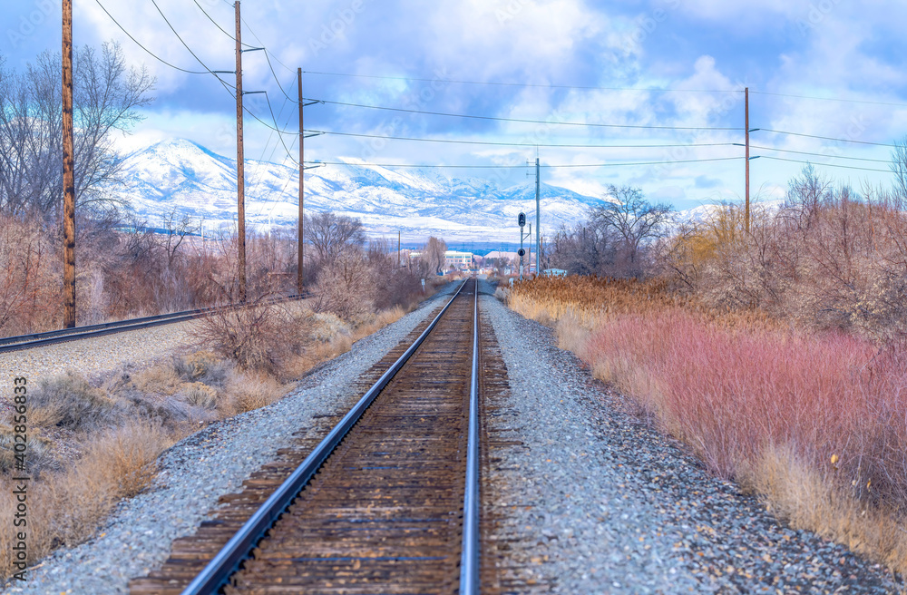Rail way track amidst grasses and leafless trees with scenic snowy mountain view Rail way track amidst grasses and leafless trees with scenic snowy mountain view