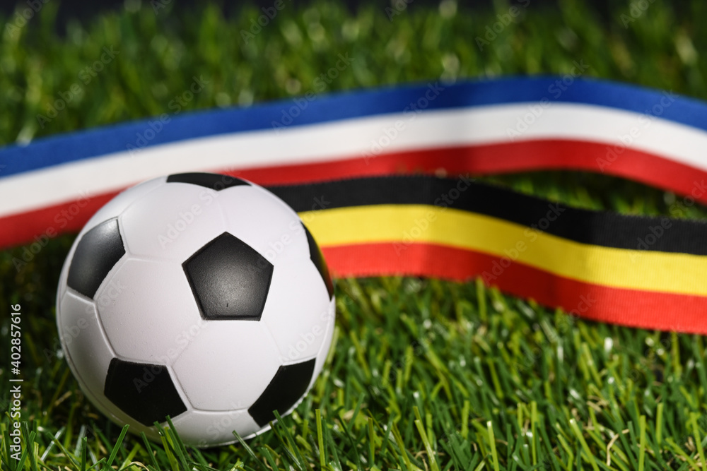 Fototapeta premium sport ballon football championnat jouer joueur match gazon pelouse terrain Belgique France 