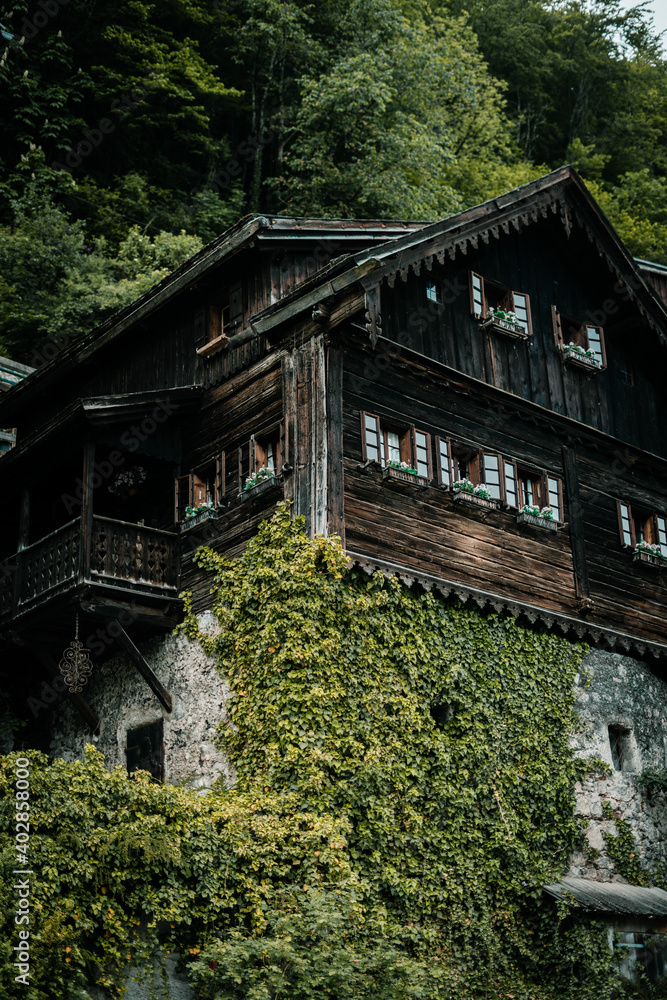 Old house in Hallstatt mountain village, Salzkammergut, Austria 