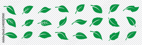 Fényképezés Set of green leaf ecology icon, leaf isolated on transparent background
