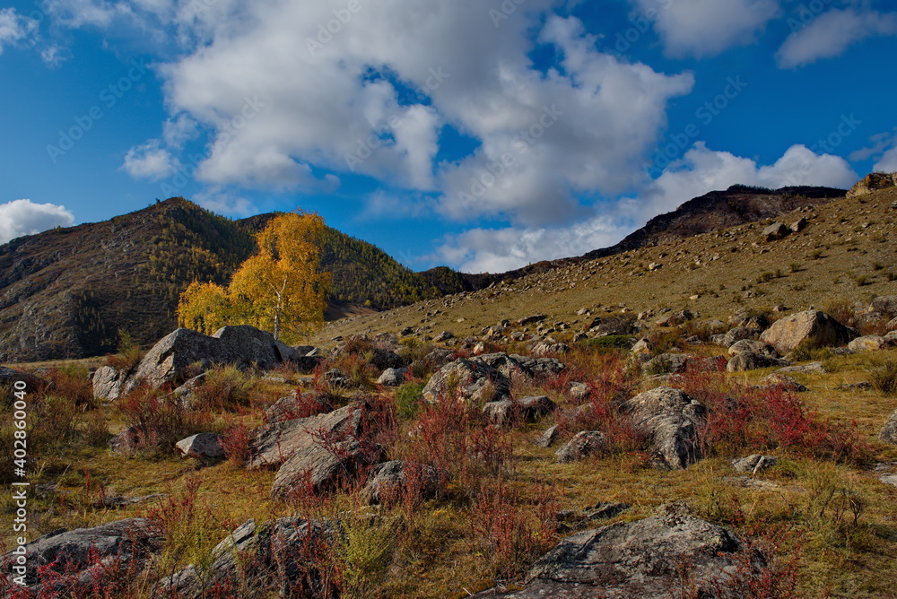 Russia. South Of Western Siberia. Mountain Altai. Amazing stone placers in the Katun river valley along the Chui tract.
