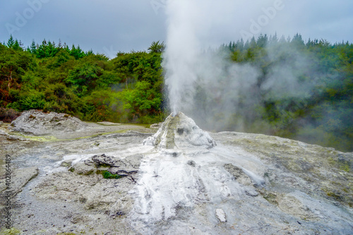 New Zealand, The Lady Knox Geyser in the Waiotapu area of the Taupo Volcanic Zone 