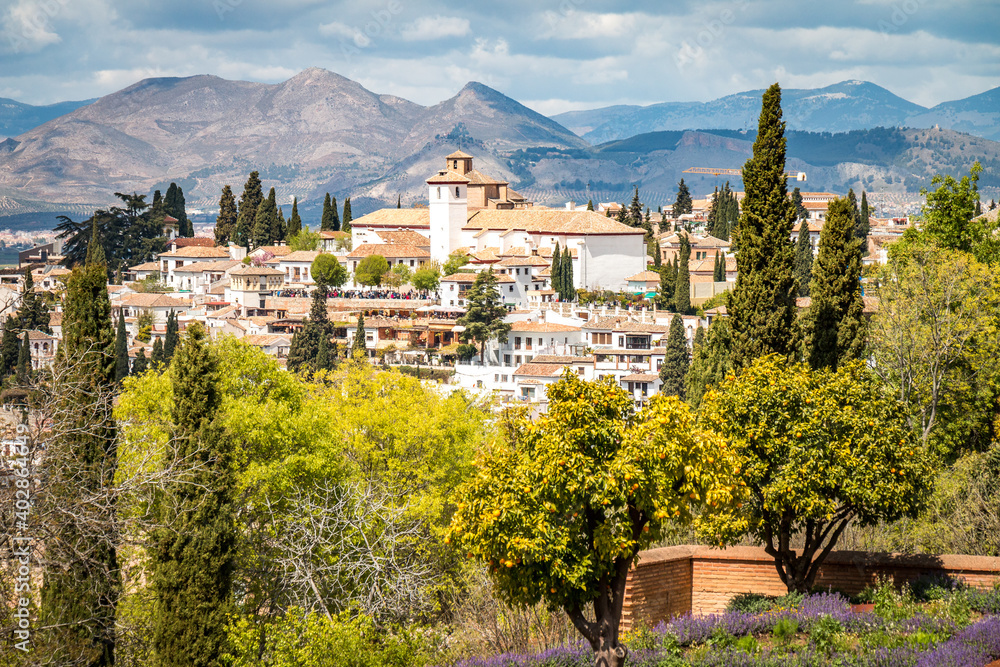 view of old part of granada, with cypress and mountains, spain