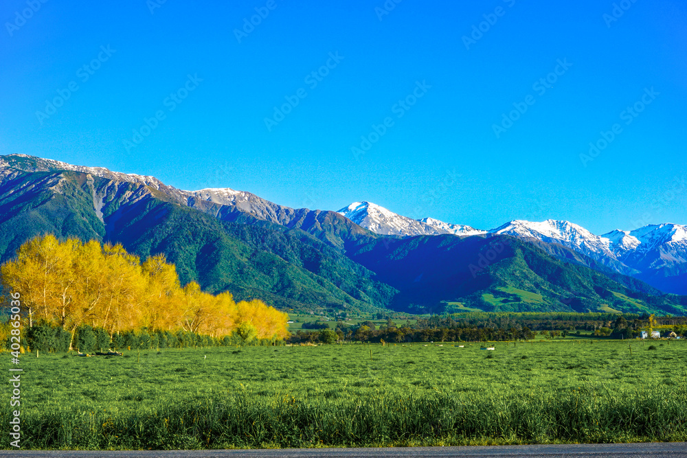 New Zealand, Southern Island, outside of the city of Kaikoura. Beautyful Landscape early in the morning.